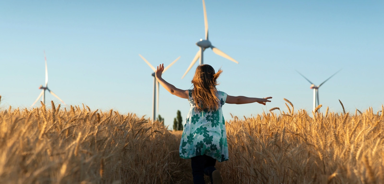 Energie für Ostwestfalen Kind läuft im Kornfeld vor Windrädern
