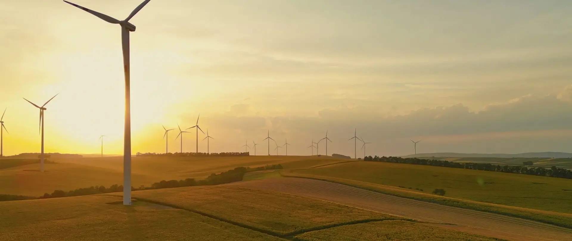 Windpark im Abendlicht