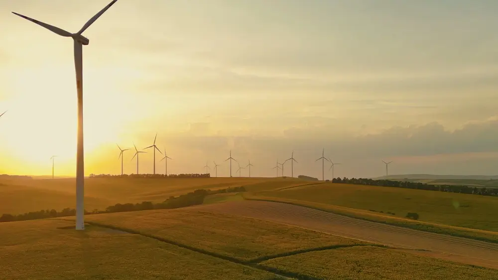 Windpark im Abendlicht